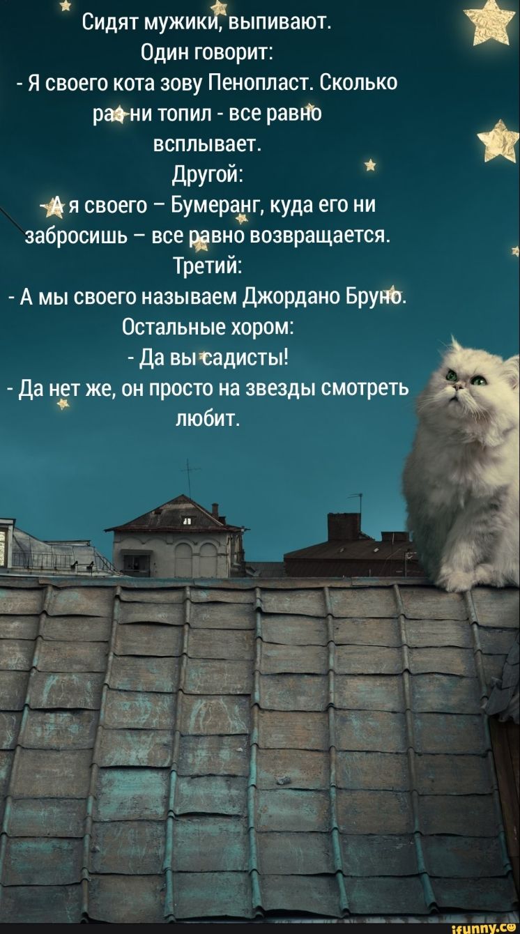 Сидят мужиктвыпивают Один говорит Я своего кота зову Пенопласт Сколько раони топил все равно всплывает Другой я своего Бумеранг куда его ни забросишь все гавно возвращается Третий А мы своего называем Джордано Бруно Остальные хором Да вы садисты да НЁТ же он просто на звезды смотреть любит і 1 шппУ СЧ