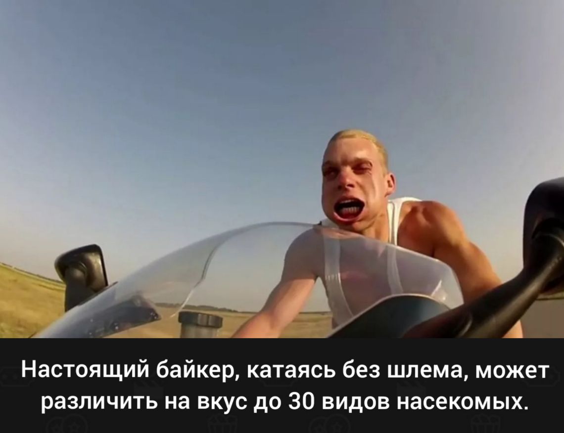 Настоящий байкер катаясь без шлема может различить на вкус до 30 видов насекомых
