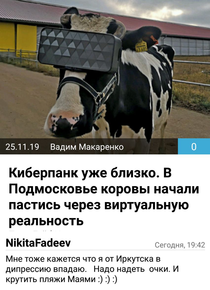 _ ч А 251119 ВадимМакаренко О Киберпанк уже близко В Подмосковьекоровьпначали пастись через виртуальную реальность МіКііаРасіееч Сегодня 1942 Мне тоже кажется что я от Иркутска в дипрессию впадаю Надо надеть очки И крутить пляжи Маями
