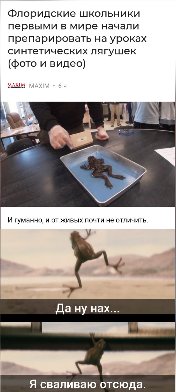 Флоридские школьники первыми в мире начали препарировать на уроках синтетических лягушек фото и видео д КИХПИ г и И ГУМЭННО И ОТ ЖИВЫХ ПОЧТИ не ОТПИЧИТЬ Да ну нах ___ Я сваливаю отсюда