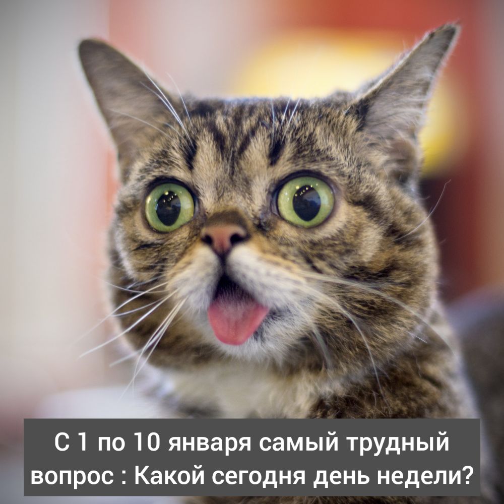 С 1 по 10 января самый трудный вопрос Какой сегодня день недели