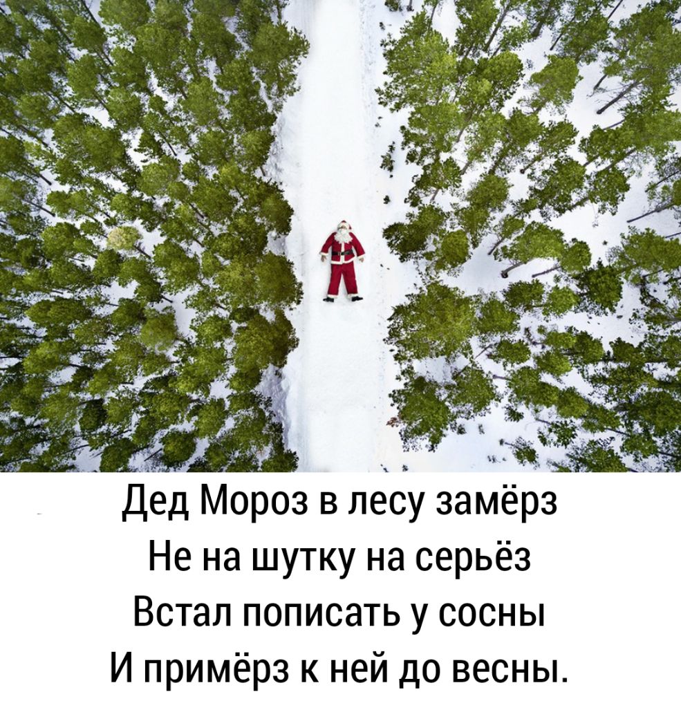 Дед Мор03 В лесу ЗаМЁРЗ Не на шутку на серьёз Встал пописать у сосны И примёрз к ней до весны
