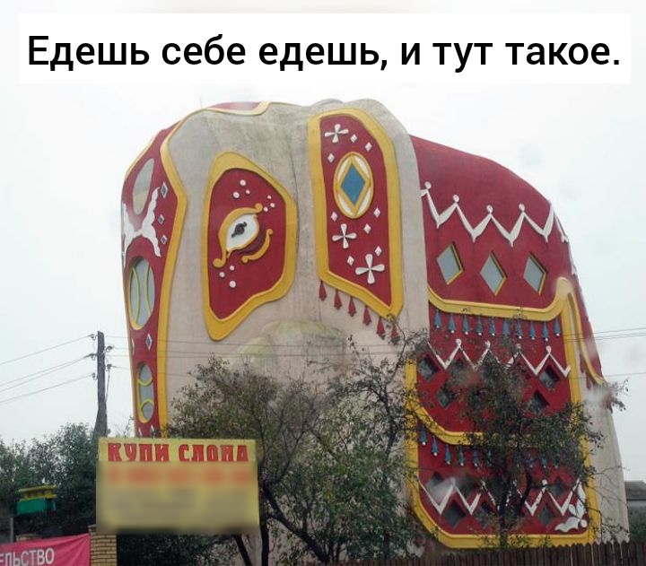 Едешь себе едешь и тут такое