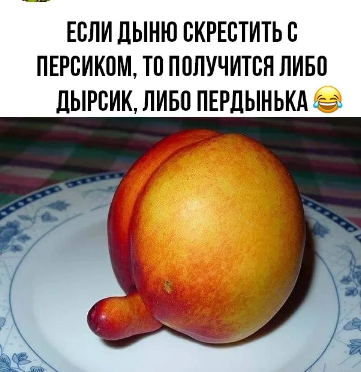ЕСЛИ ДЫНЮ ВКРЕБТИТЬБ ПЕРВИКОМ ТП ППЛУЧИТБН ЛИБО дЫРБИК ЛИБО ПЕРДЫНЬКА де