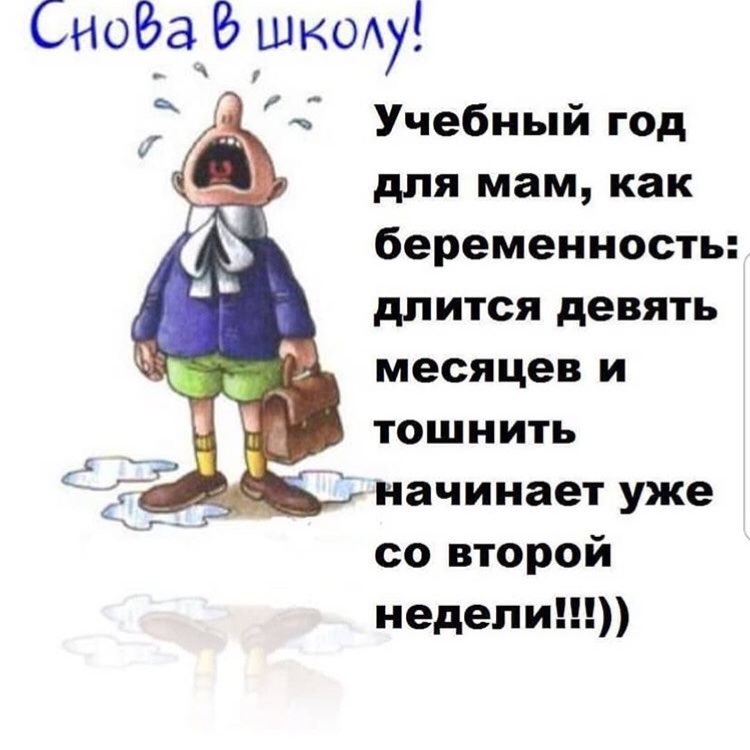 СноБа шьюху Учебный год для мам как беременность длится девять месяцев и тошнить начинает уже со второй недели