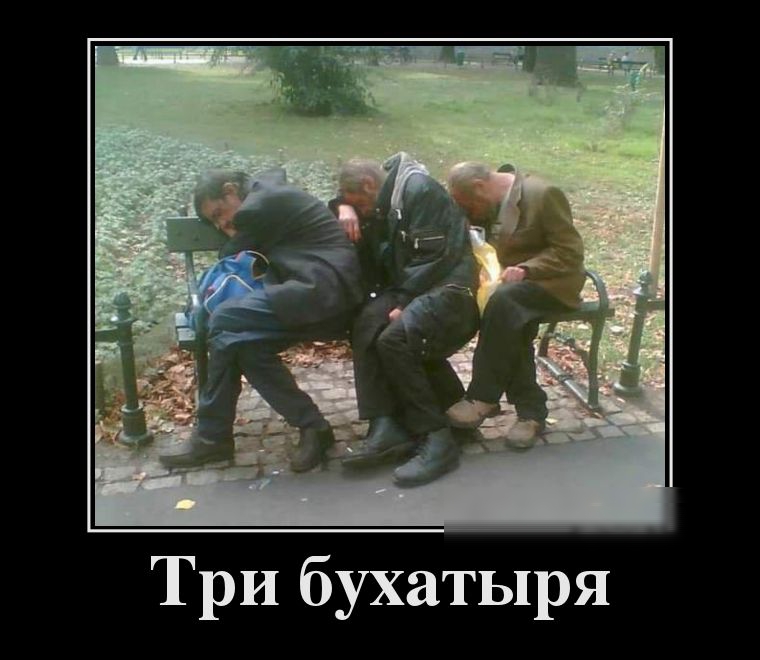 Три бухатыря