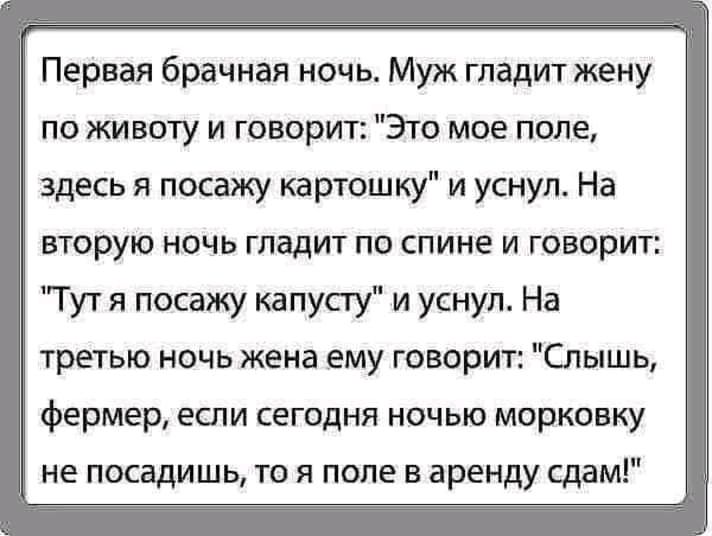 Первая брачная ночь Муж гладит жену по животу и говорит Это мое поле здесь я посажу картошку и уснул На вторую ночь гладит по спине и говорит Тут я посажу капусгу и уснул На третью ночь жена ему говорит Слышь фермер если сегодня ночью морковку не посадишь то я поле в аренду сдам