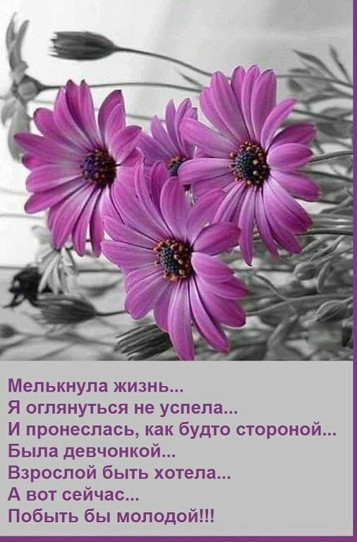 Мелькнула жизнь Я оглянуться не успела И пронеслась как будто стороной Была девчонкой Взрослой быть хотела А вот сейчас Побыть бы молодой