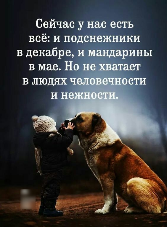 Сейчас у нас есть всё и подснежники в декабре в мае Н
