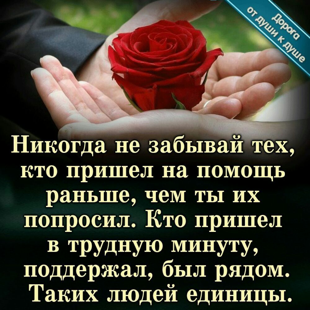 Никогда не забывай тех кто пришел на помощь раньше чем ты их попросил Кто пришел в трудную минуту поддержал был рядом Таких людей единицы