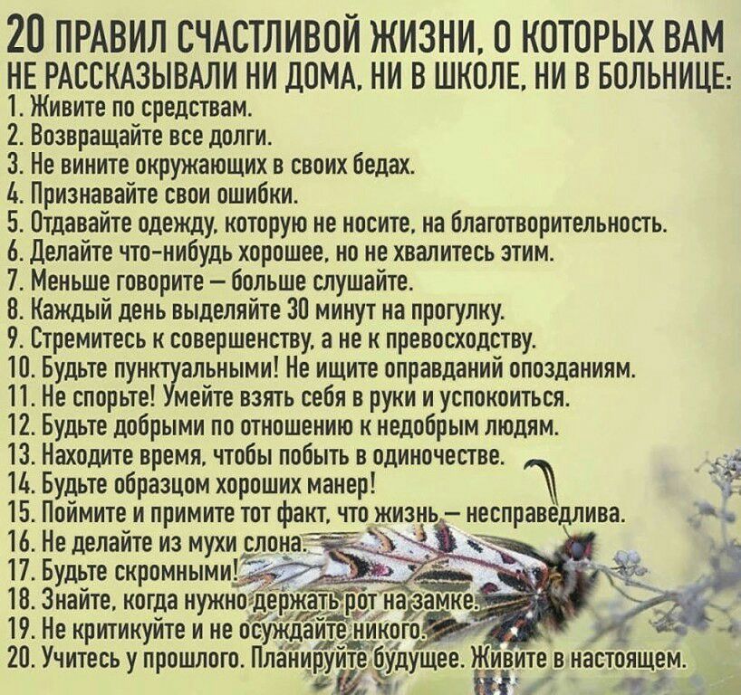 20 ПРАВИЛ СЧАСТЛИВОЙ ЖИЗНИ О КОТОРЫХ ВАМ НЕ РАССКАЗЫВАЛИ НИ ДОМА НИ В ШКОЛЕ НИ В БОЛЬНИЦЕ 1 Живите по средствам 2 Возвращайте все долги 3 Не вините окружающих в своих бедах Признавайте свои ошибки 5 Птдавайте одежду которую не носите на благотворительность 6 Делайте что нибудь хорошее но не хвалитесь этим 7 Меньше говорите больше слушайте 8 Каждый день выделяйте 30 минут на прогулку 9 Стремитесь к
