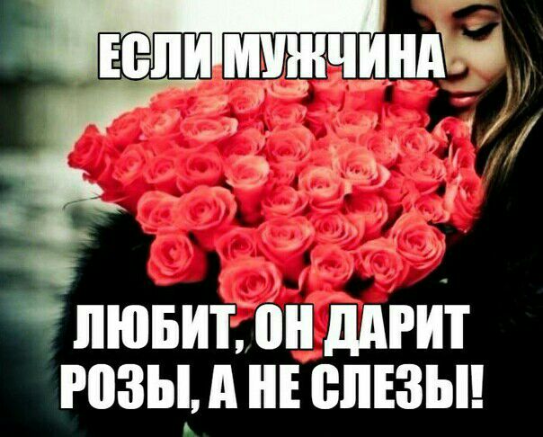 _ 1 5 ЛЮБИТ ддРИТ