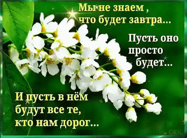 _ Мыша знаем что будет завтра Пусть оно просто ц будет И дусть в нё будут все тэ кто нам дорог __