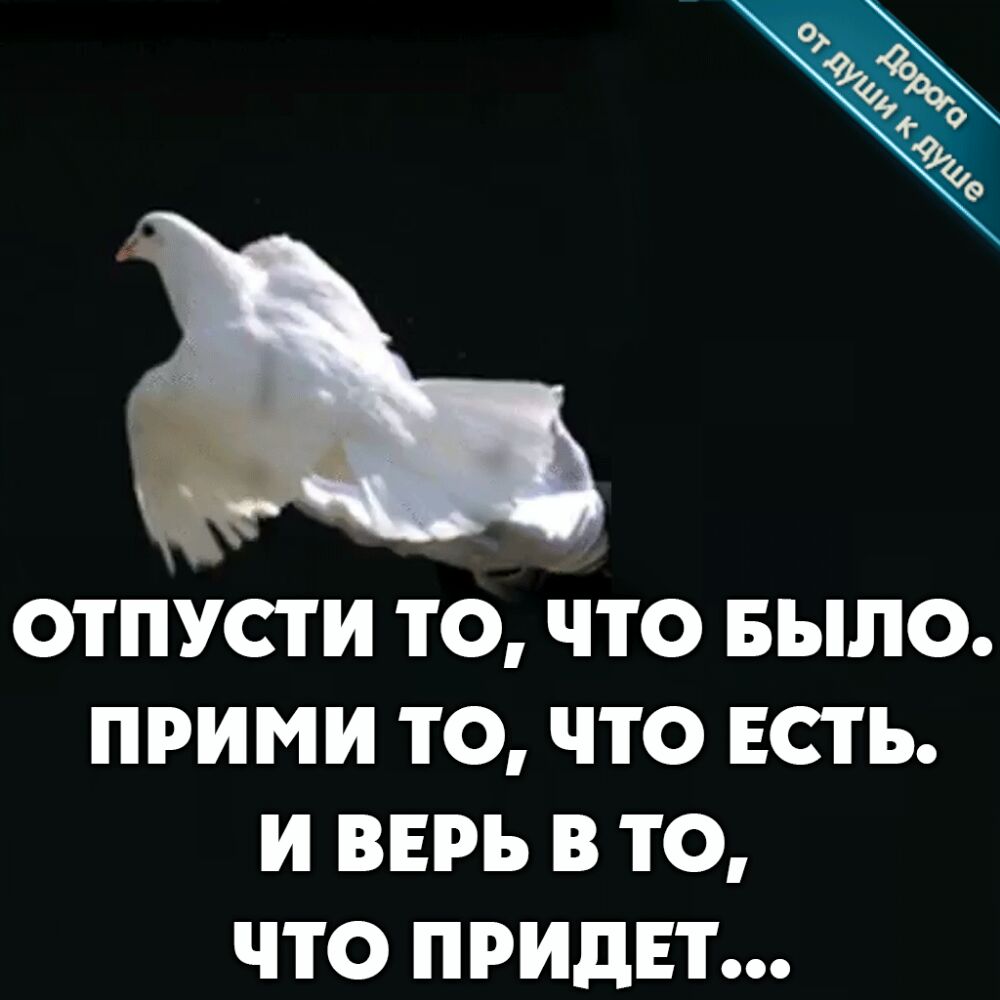 ОТПУСТ И ТО ЧТО БЫЛО ПРИМИ ТО ЧТО ЕСТЬ И ВЕРЬ В ТО ЧТО ПРИДЕТ