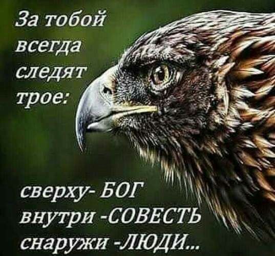 За тобой всегда следят трое сверл БОГ внутрИ СОВЕСТЬ СНЗДУЖИ11110411