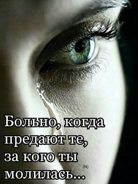 за кайты МОЛИЛЗСЬ