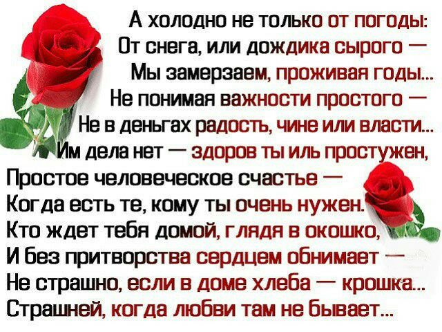 А холодно не только от погоды 157 Пт снега или дождика сырого Мы замерааем проживая годы Не понимая важности простого Не в деньгах радость чине или власти м дела нет здоров ты иль простужен Простое человеческое счастье _ _ Когда есть те кому ты очень нуженчё Кто ждет тебя домой глядя в окошко И без притворства серДЦем обнимает Не страшно если в доме хлеба крошка Страпней когда любви там не Бывает