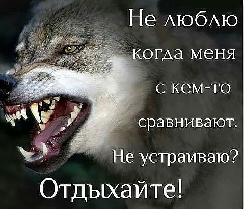 Не АЮбАЮ когда меня С КБМ ТО СРЗВНИВЭЮТ Не устраиваю Отдыхайте