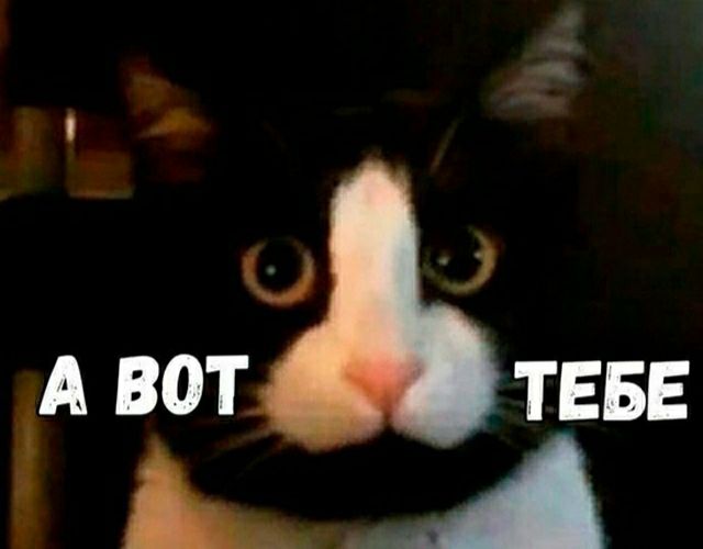 А ВОТ