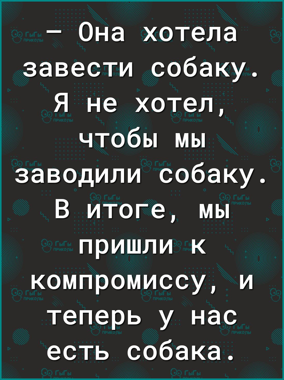 Она хотела завести собаку Я не хотел чтобы мы заводили собаку В итоге мы пришли к компромиссу и теперь у нас есть собака