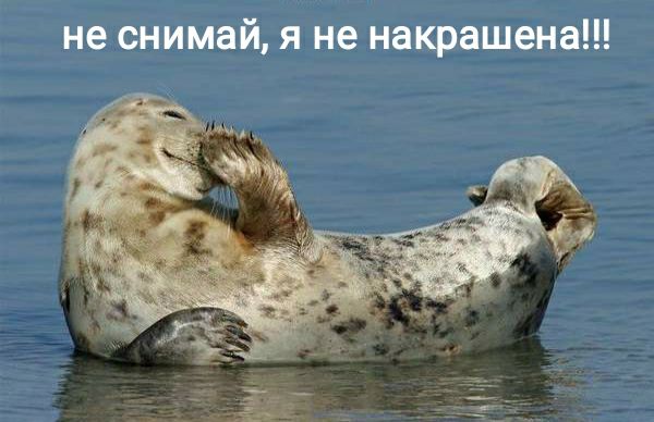 не снимай я не накрашена