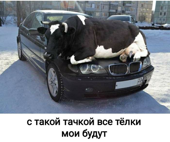 с такой тачкой все тёлки мои будут