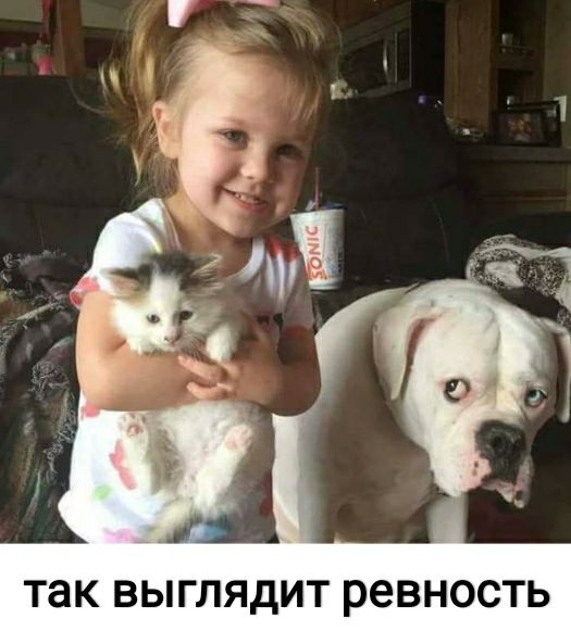 ТЗК ВЫГЛЯдИТ ревность