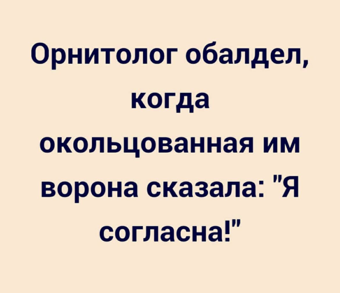 Орнитолог обалдел когда окольцованная им ворона сказала Я согласна