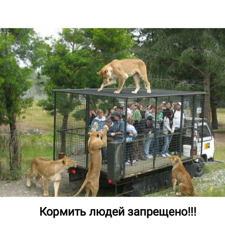 Кормить людей запрещено