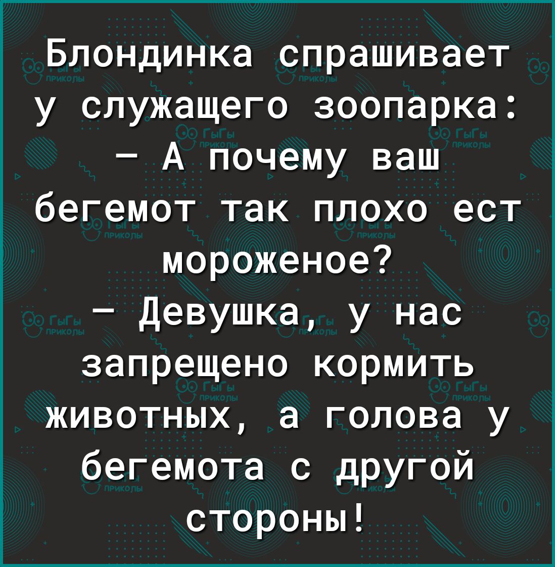 Блондинка спрашивает у служащего зоопарка А почему ваш бегемот так плохо ест мороженое Девушка у нас запрещено кормить животных а голова у бегемота с другой стороны