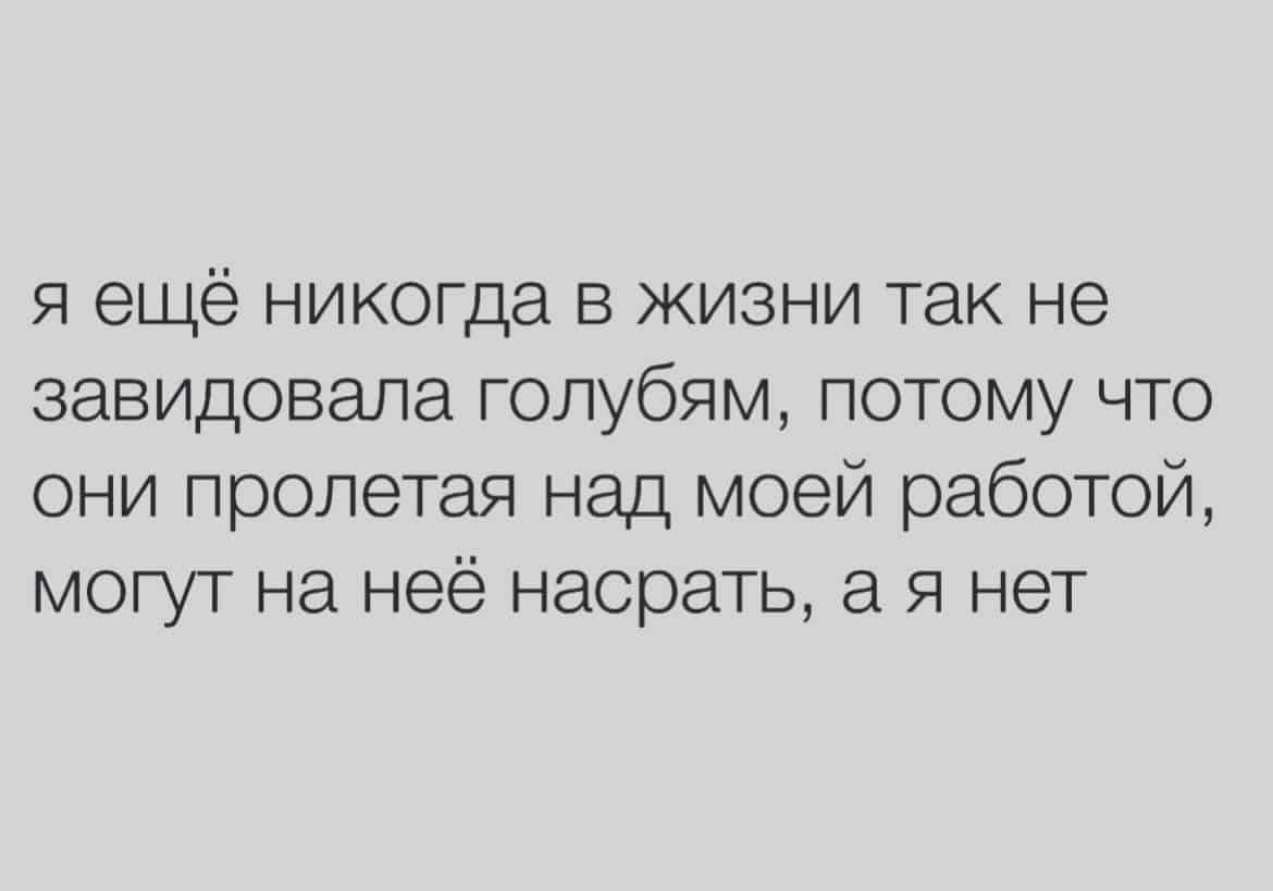 я ещё никогда в жизни так не завидовала голубям потому что они пролетая над моей работой могут на неё насрать а я нет