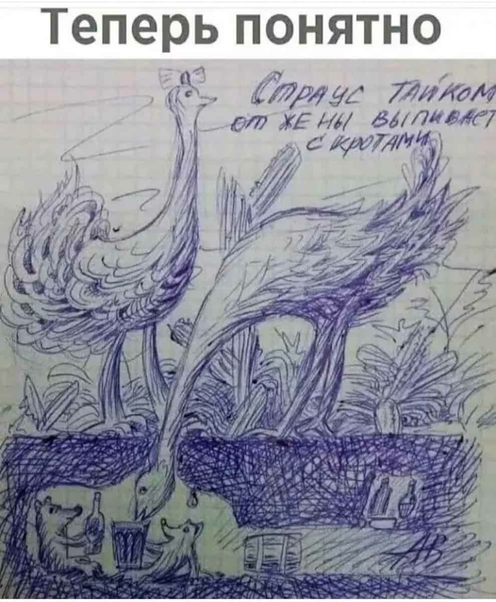 теперь ПОНЯТНО тг идилем