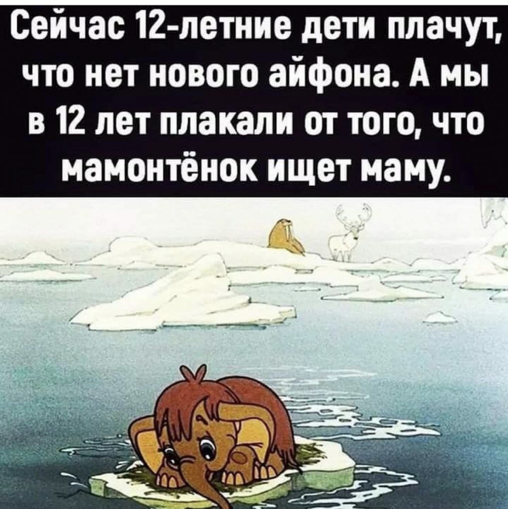 Сейчас 12 летние дети плачут что нет нового айфона А мы в 12 лет плакали от того что мамонтёнок ищет маму