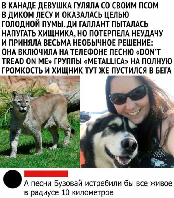 В КАНАДЕ дЕВУШКА ГУЛЯЛА СО СВОИМ ПСОМ В дИКОМ ПЕСУ И ОКАЗАЛАСЬ ЦЕЛЬЮ ГОЛОДНОИ ПУМЬдИ ГАЛЛАНТ ПЫТАЛАСЬ НАПУГАТЬ ХИЩНИКА НО ПОТЕРПЕЛА НЕУДАЧУ И ПРИНЯЛА ВЕСЬМА НЕОБЫЧНОЕ РЕШЕНИЕ ОНА ВКЛЮЧИЛА НА ТЕЛЕФОНЕ ПЕСНЮ ВОМТ ТКЕАВ ОМ МЕ ГРУППЫ МЕТАЦіСА НА ПОЛНУЮ ГРО_МК0СТЬ И ХИЩНИК ТУТ ЖЕ ПУСТИЛСЯ В БЕГА А песни Бузовай истребили бы все живое в радиусе 10 километров