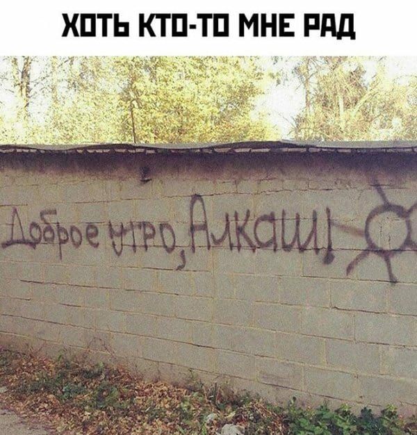 дд чз