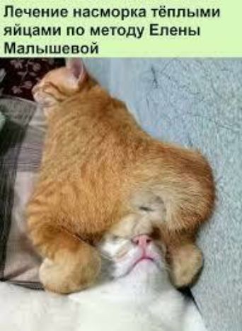 Лечение насморка тёплыми яйцами по методу Елены Малышевой
