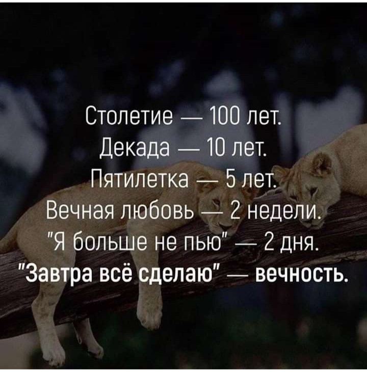 Столетие 100 лет Декада 10 лет Пятилетка 5 лет Вечная любовь 2 недели Я больше не пью 2 дня Завтра всё сделаю вечность
