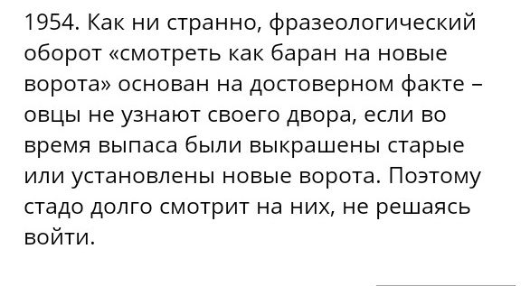 1954 Как ни странно фразеологический оборот смотреть как баран на новые ворота основан на достоверном факте овцы не узнают своего двора если во время выпаса были выкрашены старые или установлены новые ворота Поэтому стадо долго смотрит на них не решаясь войти
