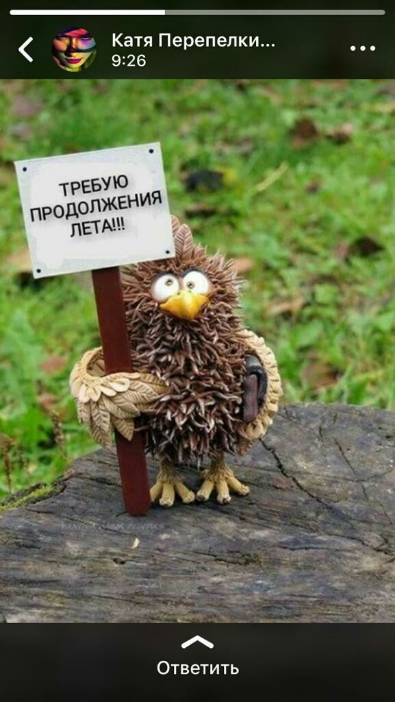 Ответить
