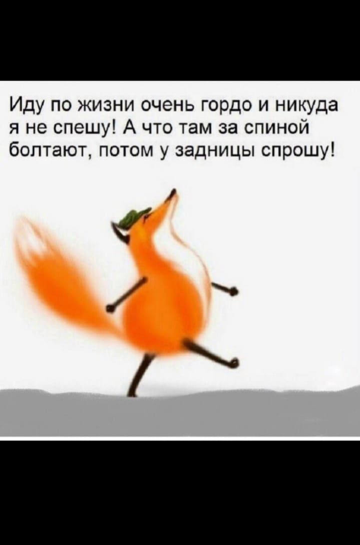 Иду по жизни очень гордо и никуда я не спешу А что там за спиной болтают потом у задницы спрошу