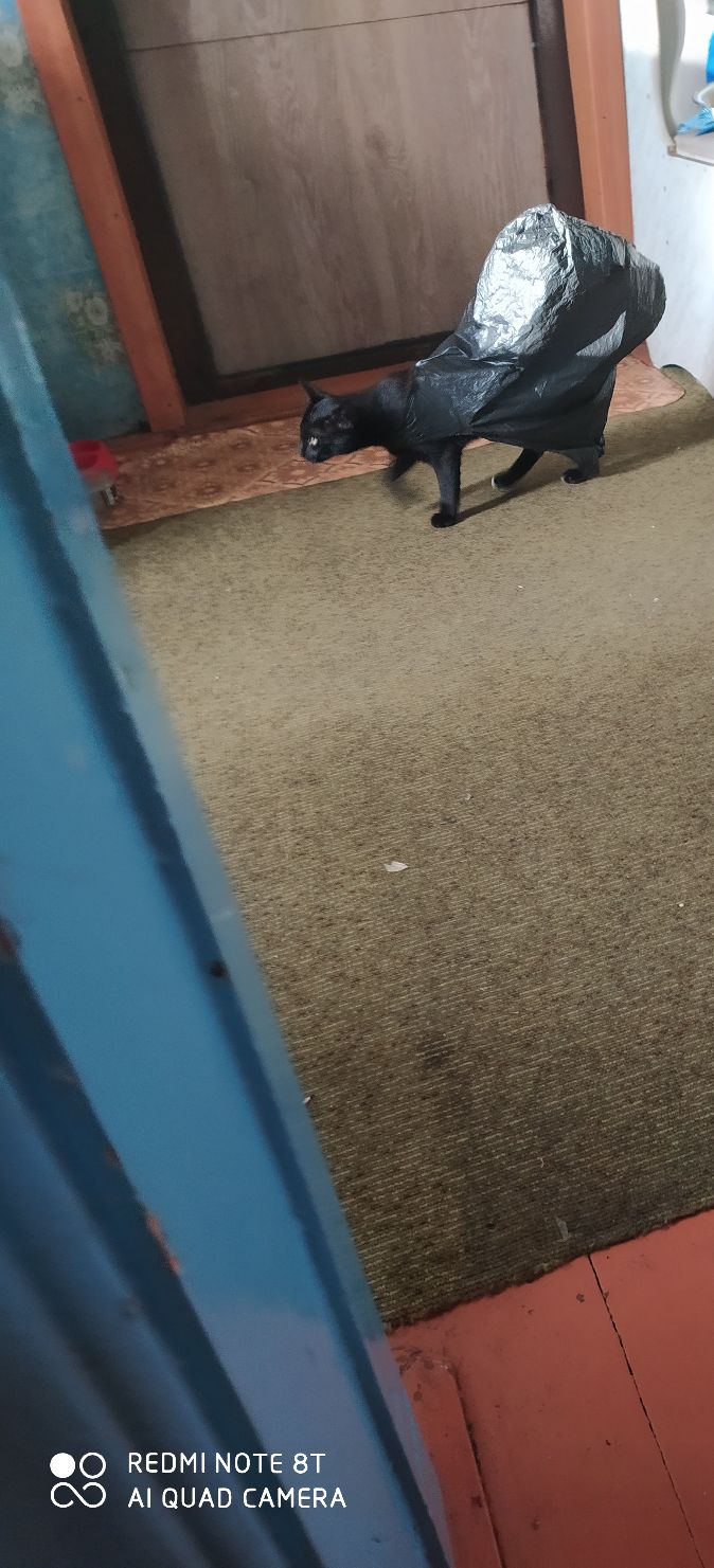 о югом 0 Х АШЦАП СА