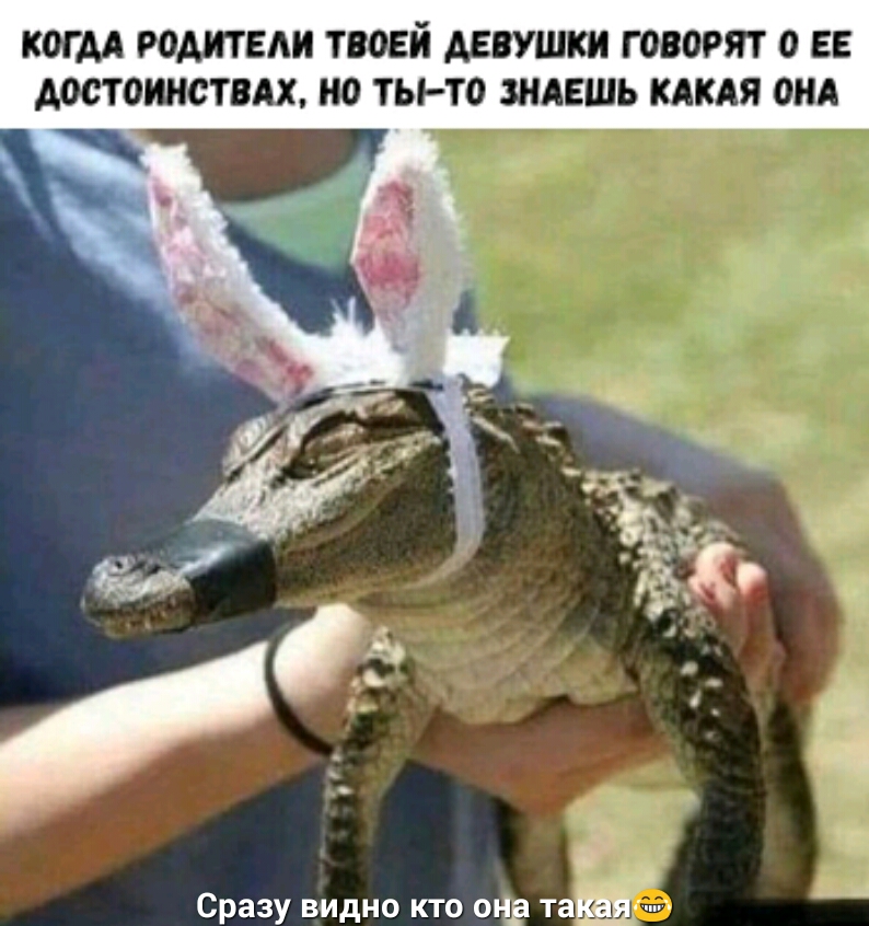 К0ГМ РОМТЕАИ ТВдЕЙ АЕВУШКИ говорят 0 ЕЕ достоинствах НО ТЫ ТО ЗНАЕШЪ КАКАЯ ОНА Сразу ВИДНО КТО ОНЁ ТЗЫН