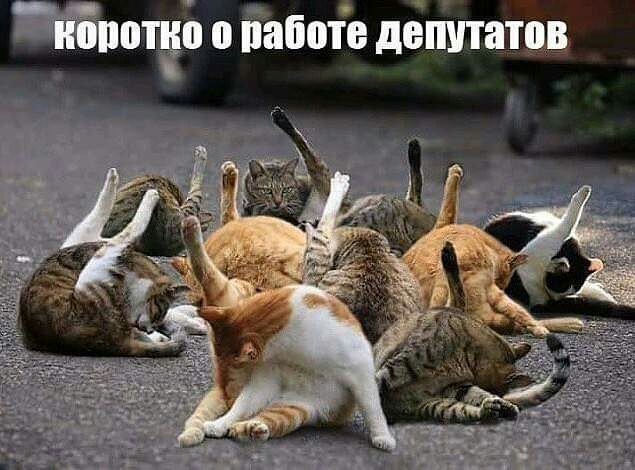 г г отче о Ёаботе депутатов _