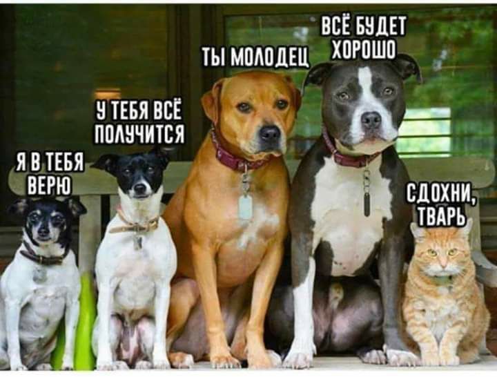 всквндвт ты мшюдш нтввя вс _ ь _ пплнчится _ Я ТЕБЯ вдохни тишь