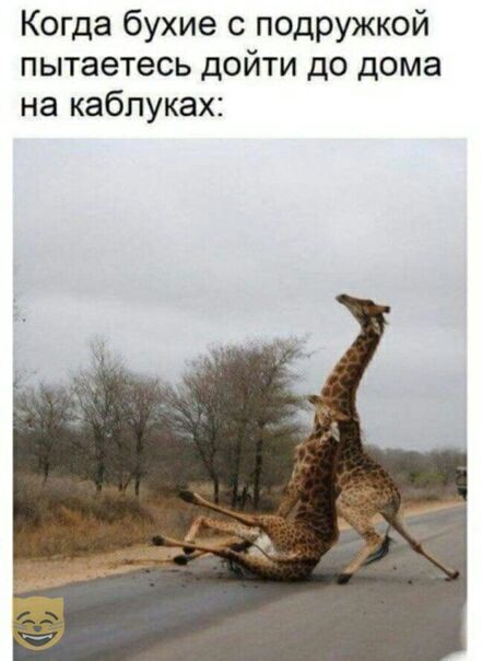 Когда бухие с подружкой пытаетесь дойти до дома на каблуках