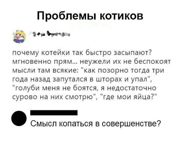 Проблемы котиков 0 почему котейки так быстро засыпают мгновенно прям неужели их не беспокоят мысли там всякие как позорно тогда три года назад запутался в шторах и упал голуби меня не боятся я недостаточно сурово на них смотрю где мои яйца _ СМЫСЛ КОПЭТЬСЯ В СОВЭРШЭНСТВЭ