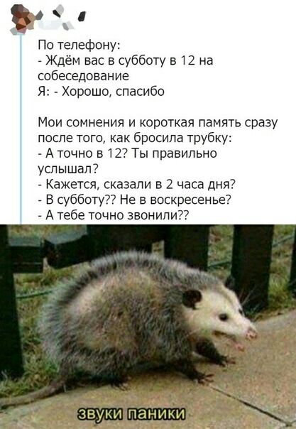 По телефону _ Ждем вас в субботу в 12 на собеседование Я Хорошо спасибо Мои сомнения и короткая память сразу после того как бросила трубку А точно в 12 Ты правильно услышал Кажется сказали в 2 часа дня _ В субботу Не в воскресенье А тебе точно звонит