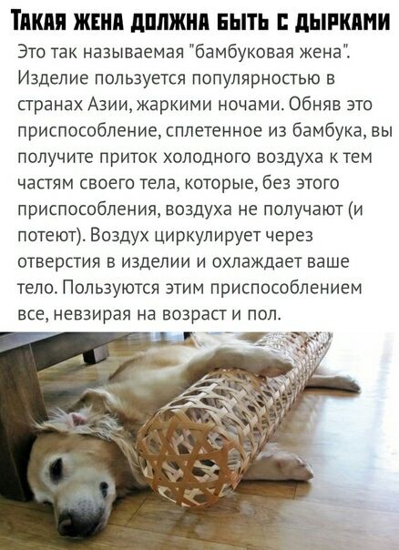 ТАШ ЖЕНП діШЖИП БЫТЬ дЫРШШИ Это так называемая бамбуковая жена Изделие пользуется популярностью в странах А3иижаркими ночами Обняв это приспособление сппетенное из бамбука вы получите приток холодного воздуха к тем частям своего тела которые без этого приспособления воздуха не получают и потеют Воздух циркулирует через отверстия в изделии и охлаждает ваше тело Пользуются этим приспособлением все н