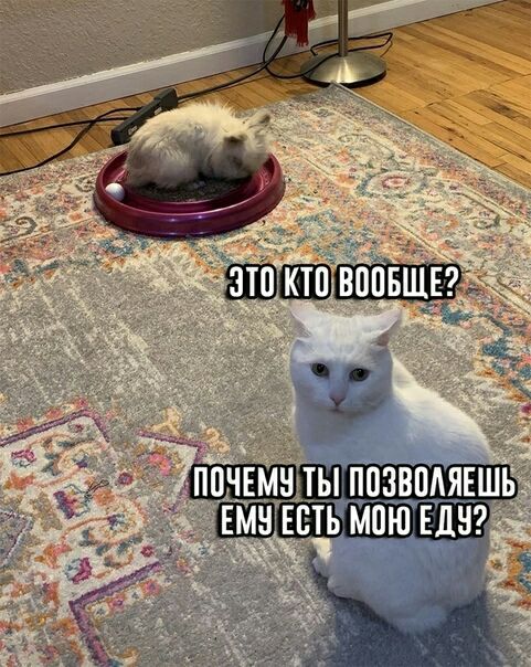 ППЧЕМПЫПЩЗВПАЯЕШЬ ЕМН ЕЕТЪ МПЮ ЕДВ