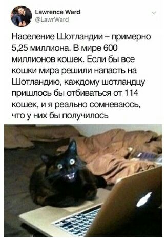 в мм Население Шотландии примерно 525 миллиона в мире 600 миллионов кошек Если бы все кошки мира решили напасгь на Шотландию каждому шотландцу пришлось бы отбиваться от 114 кошек и я реально сомневаюсь что у них бы получилось